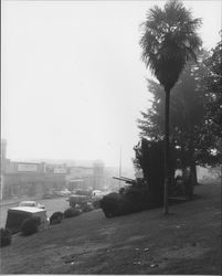 View from Hill Plaza Park, Petaluma, California, about 1951