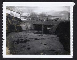 Spring Creek at Mayette and Wyoming Streets, showing erosion of north bank