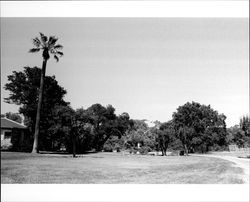 Casa del Vetti grounds, Asti, California,1994