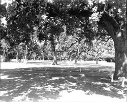 Playground at Doyle Park, Santa Rosa, California, 1965