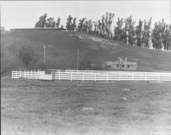 Remains of Roblar Gold Mine and surrounding area., Petaluma, California, 1967