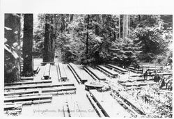 Dining Room, Bohemian Grove, California