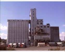 Dairymen's Feed & Supply Co-op, Petaluma, California, Sept. 25, 2001