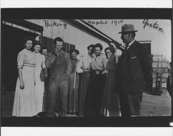 Apple packing crew, Graton, California, 1910