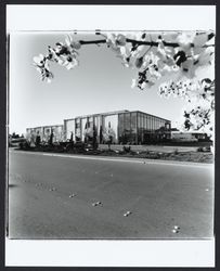 Exterior of King's Office Supplies and Equipment Inc., Santa Rosa, California, 1981