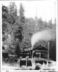 Meeker Sawmill, Camp Meeker, California, 1898