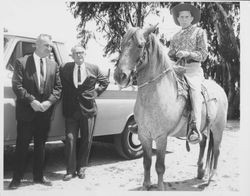 Three men and a horse, Petaluma, California, 1966