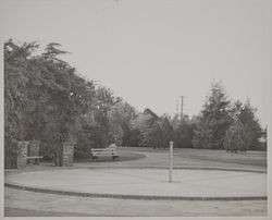 Juilliard Park, Santa Rosa, California, October 22, 1953