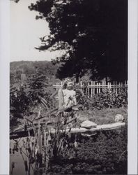 Jacquelyn Travis as a young girl, Forestville, California, about 1938