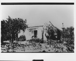 Unidentified house in the Petaluma area, Petaluma, California, 1910