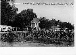 View of Oak Grove Villa El Verano, Sonoma Co., California