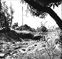 Unidentified culvert in east Santa Rosa