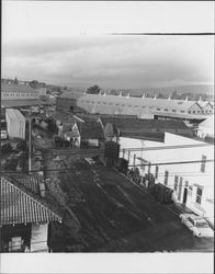 Warehouses of Pacific Growers Feed, Nulaid foods and United States Cold Storage of California, Petaluma, California, 1972