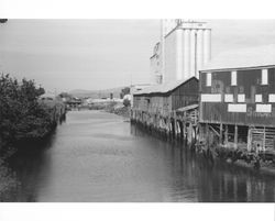 View of Petaluma River north of the Washington Street Bridge, Petaluma, California, about 1965