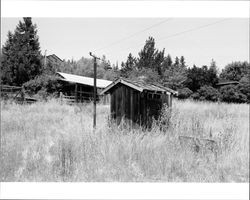 Remains of outbuildings located at 1480 Los Olivos Road, Santa Rosa, California, 1987