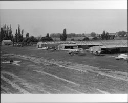 Airplanes at Sky Ranch airport in Petaluma, California, 1979