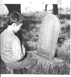 Mark Basque reading an inscription on an old tombstone in Canfield Cemetery, Bloomfield, California, 1969