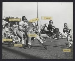 Leghorns beat Eagle Rock Athletic Club 31-13, Petaluma, California, 1950