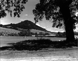 Fitch Mountain and the Tayman Park Municipal Golf Course, Healdsburg, California, 1963
