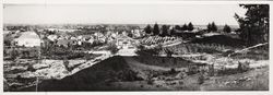 Panorama of Sebastopol from Calder hill