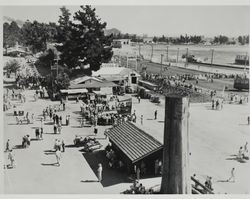 View of Sonoma County Fairgrounds featuring redwood log, Santa Rosa, California, July 17, 1955