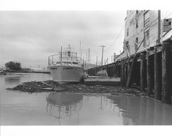 Boat stranded in the Turning Basin at low tide. Petaluma, California, about 1972