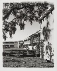 Los Robles Lodge, Santa Rosa, California, 1961