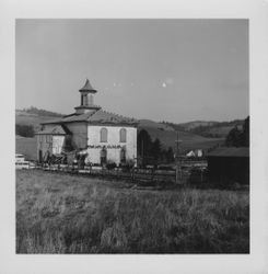 Potter School covered with birds, Bodega, California, 1962