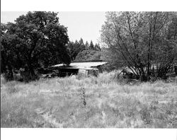 Remains of outbuildings located at 1480 Los Olivos Road, Santa Rosa, California, 1987