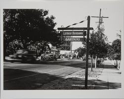 Santa Rosa Avenue at Luther Burbank Gardens