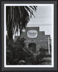 Binning cellars at Sebastiani Vineyards