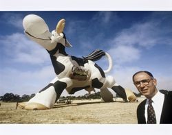 Al Bono, Chief Executive Officer of the California Cooperative Creamery, standing in front of a hot air balloon shaped like a cow--advertising California Gold Dairy Products--at the 1994 Sonoma County Hot Air Balloon Classic, July 1994