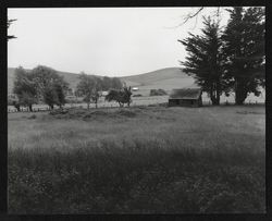 Unidentified farm buildings