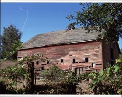 Barn associated with the Pepper Ranch/Nursery at 28 Pepper Lane, Petaluma, California, Sept. 22, 2006