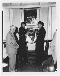 Firemen taking a man out a window in a simulated rescue, Petaluma, California, about 1955