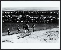 Walking on the beach near Doran Park