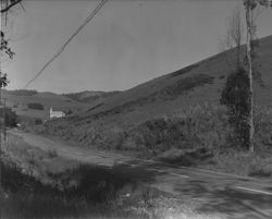 View along Bodega Highway of St. Teresa's Church, looking southeast, Bodega, California, 1955