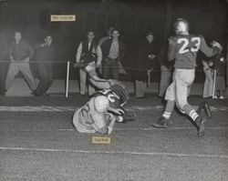 Touchdown during Petaluma Leghorn game against San Jose