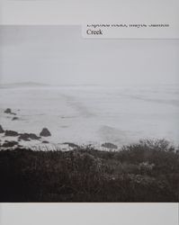 North Salmon Creek Beach after a storm, Bodega, California, 1960s