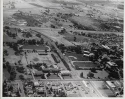 Aerial view of Santa Rosa High School and its campus, Santa Rosa, California, 1955