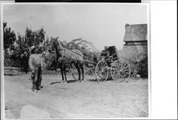 Mrs. Proctor and a man with horse and buggy