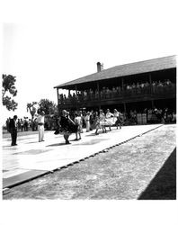 Petaluma International Folk Dancers performing at the Old Adobe Fiesta, Petaluma, California, about 1963