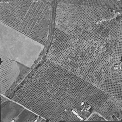 Orchards and Foss Creek northeast of Magnolia Drive bridge--aerial views