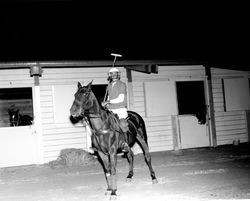 Santa Rosa polo players