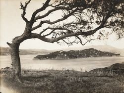 View of Belvedere from Angel Island