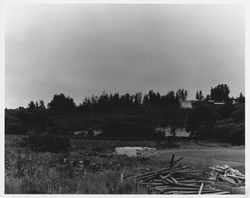 Idaco Lumber Company, about 1959