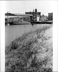 Petaluma Turning Basin