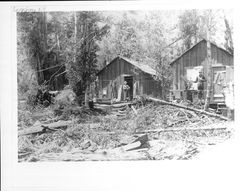 Cabins at Charles E. Fuller Mill, Markhams, California, ca.approximately 1900