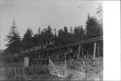 Horseshoe Bend on the three foot narrow gauge line of the North Pacific Coast Railroad