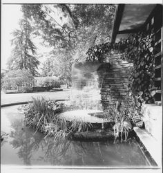 Fountain at Burbank Gardens, Santa Rosa, California, 1970